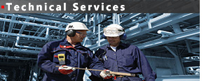 Technical-Services_spaced