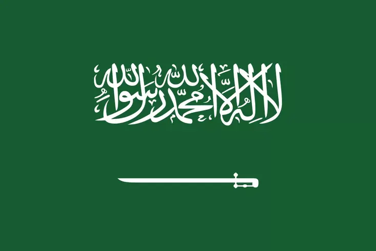 Activated Carbon and Carbon Molecular Sieve (CMS) Saudi Arabia